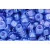 Buy cc934 - Toho rock beads 6/0 light sapphire/opaque purple (10g)