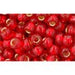 Vente en gros cc25c perles de rocaille Toho 6/0 silver-lined ruby (10g)