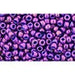 Creez avec cc461 perles de rocaille Toho 11/0 higher métallic grape (10g)