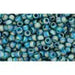 Achat en gros cc167bdf perles de rocaille Toho 11/0 transparent rainbow frosted teal (10g)