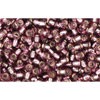 Buy cc26b - perles de rocaille Toho 11/0 silver lined medium amethyst (10g)