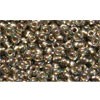 Buy cc999 - perles de rocaille Toho 11/0 gold lined rainbow black diamond (10g)