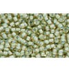 Buy cc952 - perles de rocaille Toho 11/0 rainbow topaz/sea foam lined (10g)